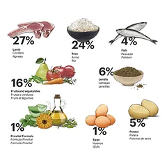 Gosbi sausas maistas suaugusiems vidutinių veislių šunims Exclusive Lamb Medium, 3 kg — 2 nuotrauka