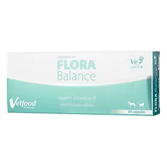 Vetfood Flora Balance - supplement supporting digestive function for dogs and cats - 60 tablets
