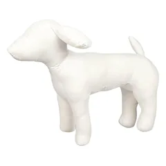 Chadog manekenas - šuns modelis
