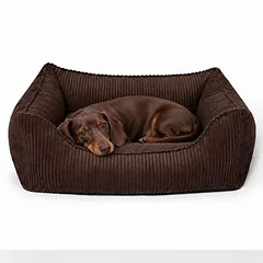 PAW WOW guolis šunims ANTON Cord, rudas, Dideliems 26–45 kg — 3 nuotrauka