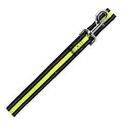 Dog Fantasy Leash Neoprene neopreninis pavadėlis šunims su atspindinčiais elementais, M/L, 2,5×120 cm, laimo spalvos