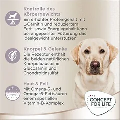 Concept for Life Labrador Sterilised sausas maistas šunims, < 1,4 kg — 4 nuotrauka