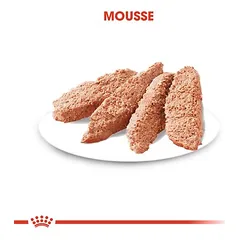 Royal Canin Exigent Mini drėgnas maistas, papildantis sausą maistą šunims, 80 - 99 g — 4 nuotrauka