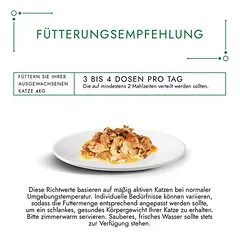 Gourmet Nature's Creations drėgnas maistas katėms 12 x 85 g — 5 nuotrauka