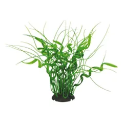 Aquael dirbtinis augalas akvariumams