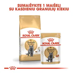 ROYAL CANIN FBN British Shorthair sausas maistas Britų trumpaplaukėms katėms 2 kg — 5 nuotrauka