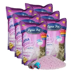 Lyra Pet® Lyra Power® Silica silikagelio grumstelinis kraikas katėms, 6 x 5 l + talpykla — 2 nuotrauka