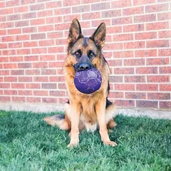 KONG Flexball žaislas šunims, Dydis M/L: Ø 15 cm — 2 nuotrauka