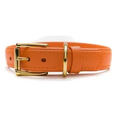 Das Lederband Hundehalsband Como orange/orange