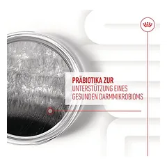 Royal Canin Digestion Adult Supplement kramtomieji skanėstai šunims — 4 nuotrauka
