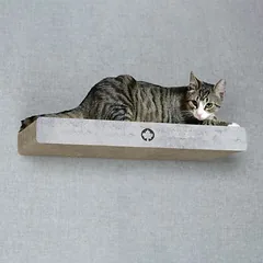 Canadian Cat Company sieninė draskyklė CLOUD su gulėjimo vieta ir laipteliu, L 70 x B 30 x H 8 cm - pilka — 2 nuotrauka