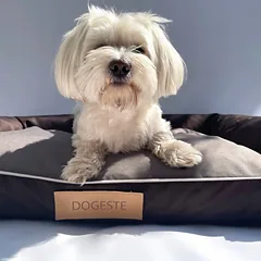 DOGESTE L dydžio vandeniui atsparus šuns guolis-sofa su nemokamu užrašu, 82 × 50 cm — 5 nuotrauka