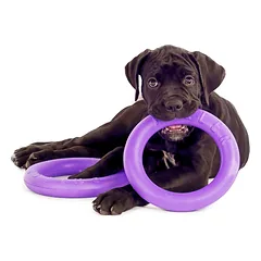 Žaislas - mankštos priemonė šunims PULLER Midi 20 cm — 2 nuotrauka