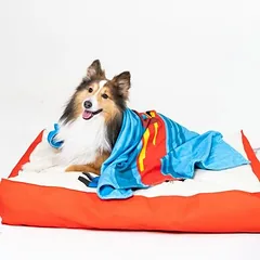 WARNER BROS čiužinys šunims DC Superman, Dideliems 26–45 kg — 4 nuotrauka