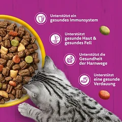 2 x 3,8 kg Whiskas mišri dviguba pakuotė, sausas maistas katėms, 3 - 4,9 kg — 2 nuotrauka