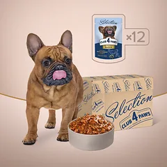 CLUB 4 PAWS Premium plus konservuotas ėdalas suaugusiems mažų veislių šunims su jautiena ir daržovėmis padaže 12x85 gr, 12x80 gr — 2 nuotrauka