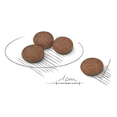 ROYAL CANIN Mini Digestive Care sausas pašaras šunims, SHN 3kg — 2 nuotrauka