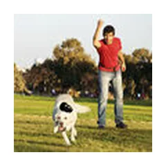 KONG Extreme Small - dog toy — 4 nuotrauka