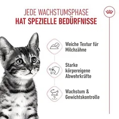 Royal Canin Sterilized Kitten drebutyje, drėgnas maistas kačiukams — 4 nuotrauka