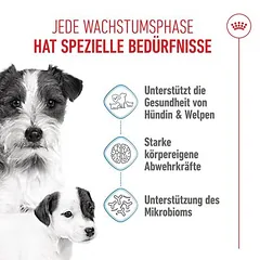 Royal Canin Mini Starter Mother & Babydog sausas maistas šunims, 5 - 9,9 kg — 3 nuotrauka