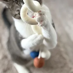 Aumüller Katzenspielzeug Loopy Spiral