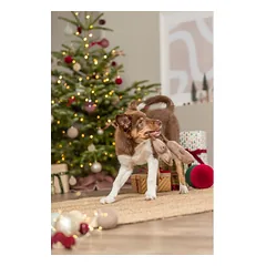 TRIXIE Xmas Imbierinukai ant virvės, pliušas/virvė, 22 cm, su garsu, 1 vnt. parduotuvėje Petz.lt