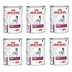 ROYAL CANIN Renal Canine 6x410g skardinė