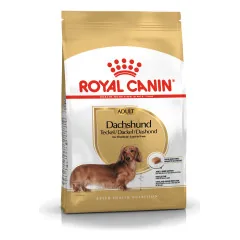 Royal Canin Dachshund Adult sausas pašaras šunims