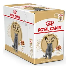 Kačių konservuotas pašaras British Shorthair
