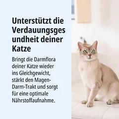 Virbac Veterinary HPM Cat Digestive Support G1, sausas maistas katėms — 2 nuotrauka