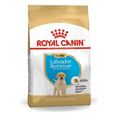 Royal Canin BHN Labrador Retrievier Junior sausas maistas šunims 3 kg parduotuvėje pethappy.lt