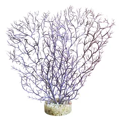 Akvariumų augalas Coral Hedge