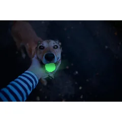 2 GLOW tamsoje šviečiantis kamuoliukas šunims — 4 nuotrauka