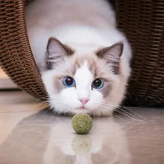 Nobleza katžolės kamuoliukai katėms, 2 vnt. — 3 nuotrauka