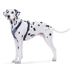 HUNTER NEOPRENE petnešos iš neopreno šunims, S, pilkos — 3 nuotrauka