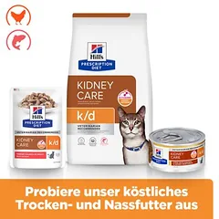 Hill's Prescription Diet k/d Kidney Care su lašiša, drėgnas maistas katėms — 4 nuotrauka