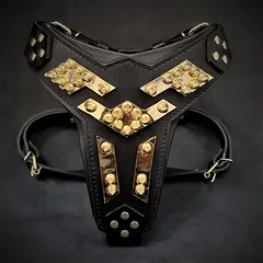 Bestia Hundegeschirr Midas