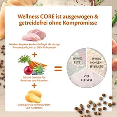 Wellness Core Cat Adult Sterilized Original, sausas maistas katėms — 3 nuotrauka