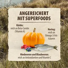Purizon Superfoods su lašiša, sausas maistas katėms, 5 - 9,9 kg — 3 nuotrauka