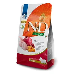 N&D Pumpkin Visavertis pašaras su putpelėmis moliūgais ir granatais skirtas suaugusiems mažų veislių šunims 2 kg photo