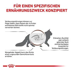 Royal Canin Veterinary Feline Gastrointestinal sausas maistas katėms, 3 - 4,9 kg — 3 nuotrauka