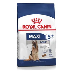 Royal Canin SHN Maxi Adult 5+ sausas ėdalas didelių veislių šunims su pirmaisiais senėjimo požymiais, 4 kg