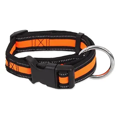Dog Fantasy Collar Neoprene L antkaklis šunims, oranžinis, 2,5 x 45–68 cm