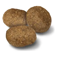 Advance Sensitive Med/max lašiša&ryžiai 12 kg — 5 nuotrauka