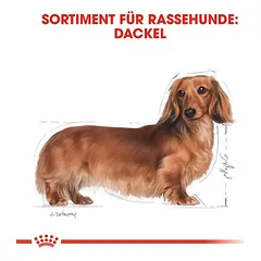Royal Canin Dachshund Mousse drėgnas maistas šunims — 5 nuotrauka