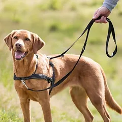 Trixie treniruočių petnešos Lead'n'Walk Soft