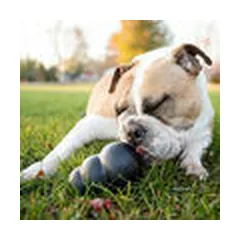 KONG Extreme Medium - dog toy — 4 nuotrauka