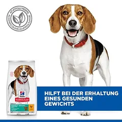 Hill's Science Plan Perfect Weight Adult 1+ Medium su vištiena, sausas maistas šunims, > 10 kg — 4 nuotrauka