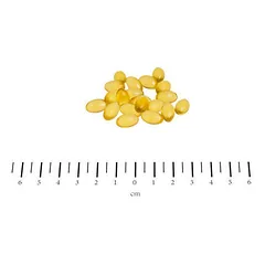 CANINA Petvital Derm kapsulės N100 100 g — 2 nuotrauka