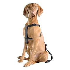 Europet Bernina D&D Dog-Secure krūtinės apimties petnešos šunims XS 20-50 cm — 4 nuotrauka